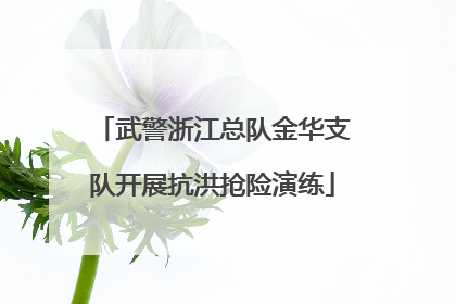 武警浙江总队金华支队开展抗洪抢险演练