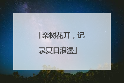 栾树花开，记录夏日浪漫