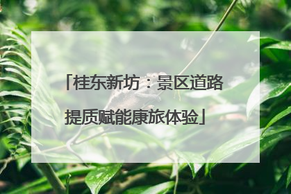 桂东新坊：景区道路提质赋能康旅体验