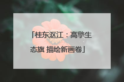 桂东沤江：高擎生态旗 描绘新画卷