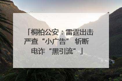 桐柏公安：雷霆出击严查“小广告” 斩断电诈“黑引流”