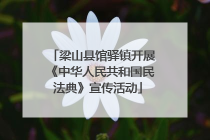 梁山县馆驿镇开展《中华人民共和国民法典》宣传活动