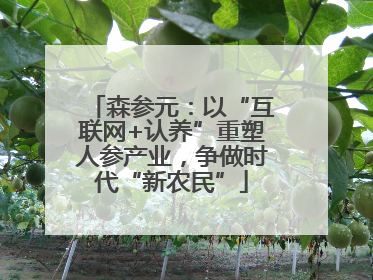 森参元：以“互联网+认养”重塑人参产业，争做时代“新农民”
