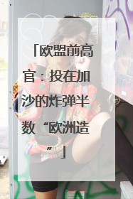 欧盟前高官：投在加沙的炸弹半数“欧洲造”