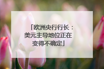 欧洲央行行长：美元主导地位正在变得不确定