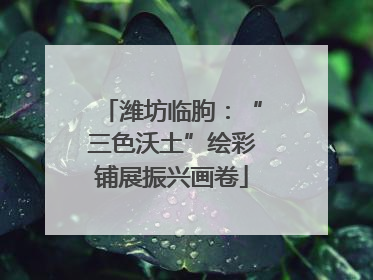 潍坊临朐：“三色沃土”绘彩铺展振兴画卷
