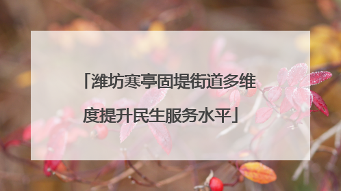 潍坊寒亭固堤街道多维度提升民生服务水平