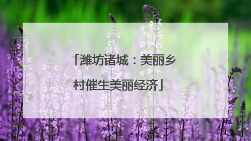 潍坊诸城：美丽乡村催生美丽经济