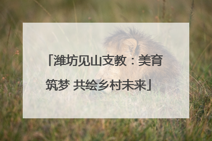 潍坊见山支教：美育筑梦 共绘乡村未来