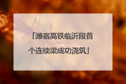 潍宿高铁临沂段首个连续梁成功浇筑