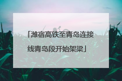 潍宿高铁至青岛连接线青岛段开始架梁