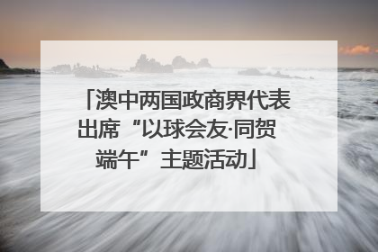 澳中两国政商界代表出席“以球会友·同贺端午”主题活动