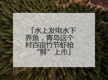 水上发电水下养鱼，青岛这个村百亩竹节虾抢“鲜”上市