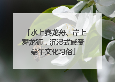 水上赛龙舟、岸上舞龙狮，沉浸式感受端午文化习俗