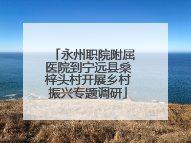 永州职院附属医院到宁远县桑梓头村开展乡村振兴专题调研