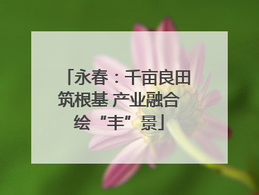 永春：千亩良田筑根基 产业融合绘“丰”景