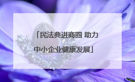 民法典进商圈 助力中小企业健康发展
