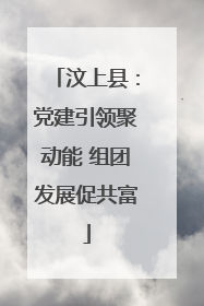 汶上县：党建引领聚动能 组团发展促共富
