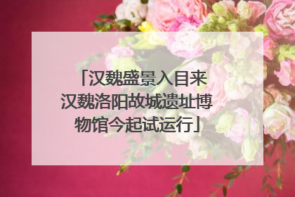 汉魏盛景入目来 汉魏洛阳故城遗址博物馆今起试运行