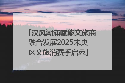 汉风潮涌赋能文旅商融合发展2025未央区文旅消费季启幕