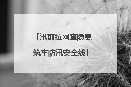 汛前拉网查隐患 筑牢防汛安全线