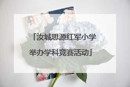 汝城思源红军小学举办学科竞赛活动