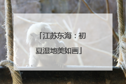 江苏东海：初夏湿地美如画