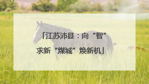江苏沛县：向“智”求新“煤城”焕新机
