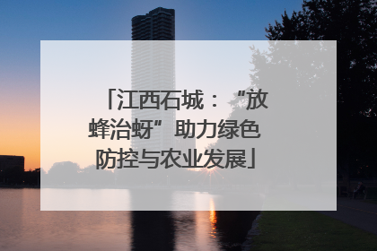 江西石城：“放蜂治蚜”助力绿色防控与农业发展