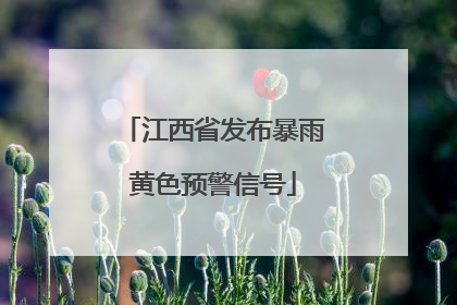 江西省发布暴雨黄色预警信号
