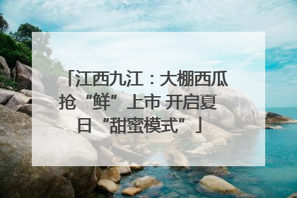 江西九江：大棚西瓜抢“鲜”上市 开启夏日“甜蜜模式”
