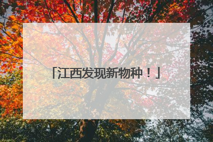 江西发现新物种！