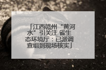 江西赣州“黄河水”引关注 省生态环境厅：已派调查组到现场核实