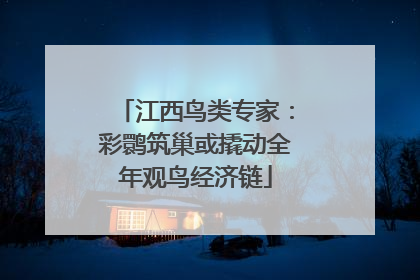江西鸟类专家：彩鹮筑巢或撬动全年观鸟经济链