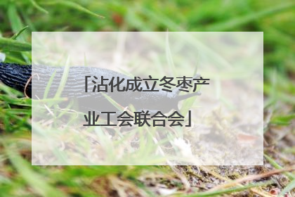 沾化成立冬枣产业工会联合会