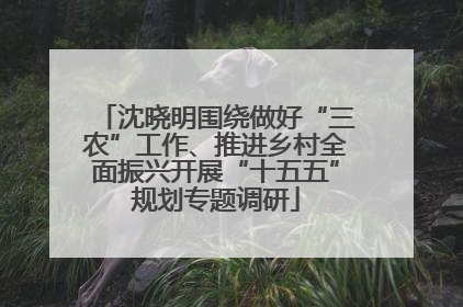沈晓明围绕做好“三农”工作、推进乡村全面振兴开展“十五五”规划专题调研