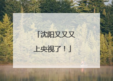 沈阳又又又上央视了！