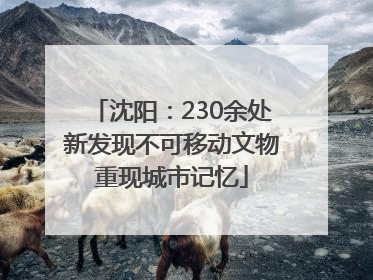 沈阳：230余处新发现不可移动文物重现城市记忆