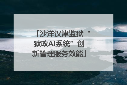 沙洋汉津监狱“狱政AI系统”创新管理服务效能