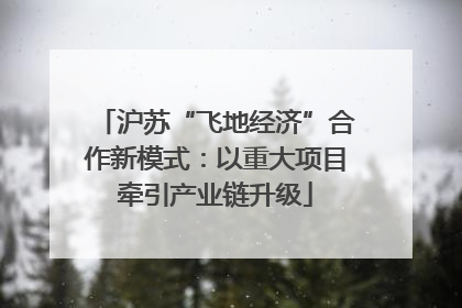 沪苏“飞地经济”合作新模式：以重大项目牵引产业链升级