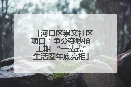 河口区崇文社区项目：争分夺秒抢工期 “一站式”生活圈年底亮相