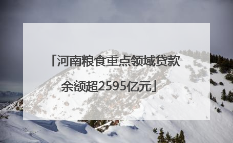 河南粮食重点领域贷款余额超2595亿元
