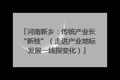 河南新乡：传统产业长“新枝”（走进产业地标·发展一线探变化）