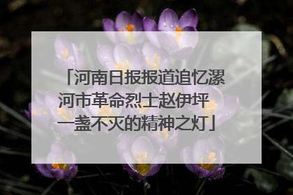 河南日报报道追忆漯河市革命烈士赵伊坪 一盏不灭的精神之灯