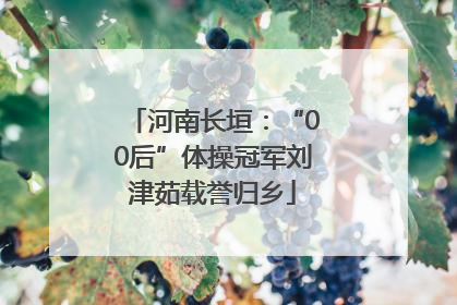 河南长垣：“00后”体操冠军刘津茹载誉归乡