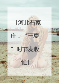 河北石家庄：“三夏”时节麦收忙