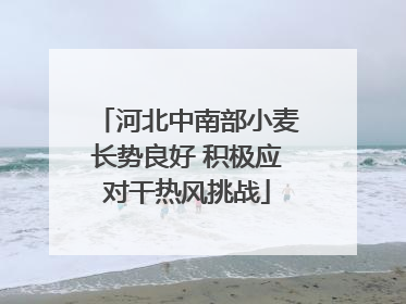 河北中南部小麦长势良好 积极应对干热风挑战