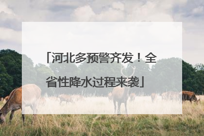 河北多预警齐发！全省性降水过程来袭