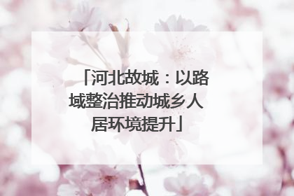 河北故城：以路域整治推动城乡人居环境提升