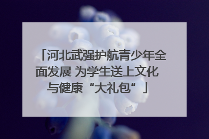 河北武强护航青少年全面发展 为学生送上文化与健康“大礼包”